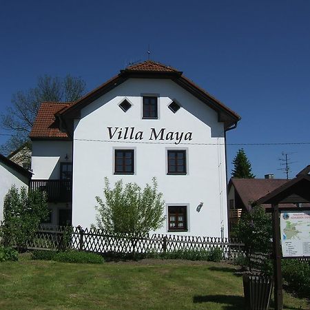Villa Maya Horní Planá Kültér fotó