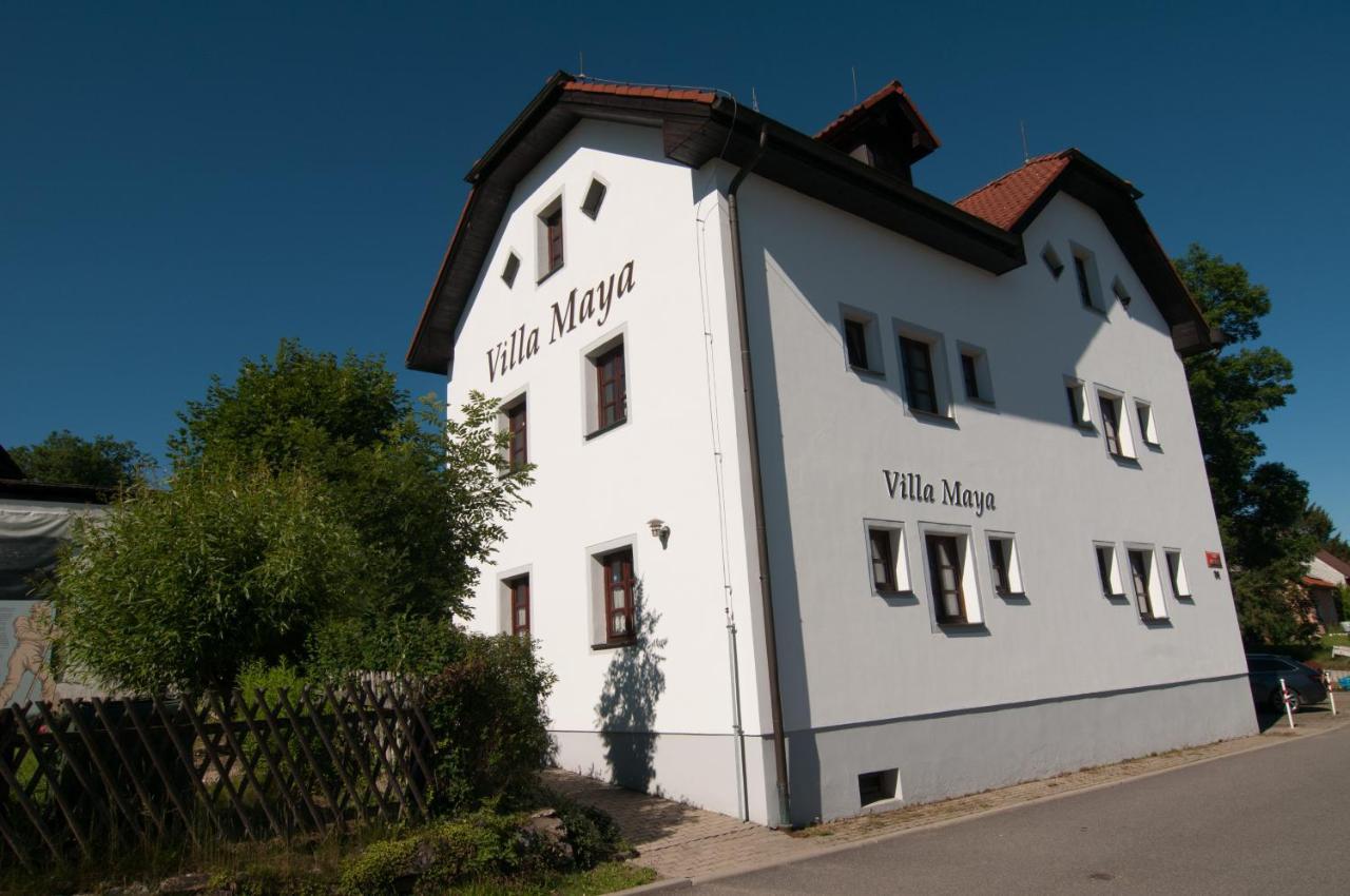 Villa Maya Horní Planá Kültér fotó
