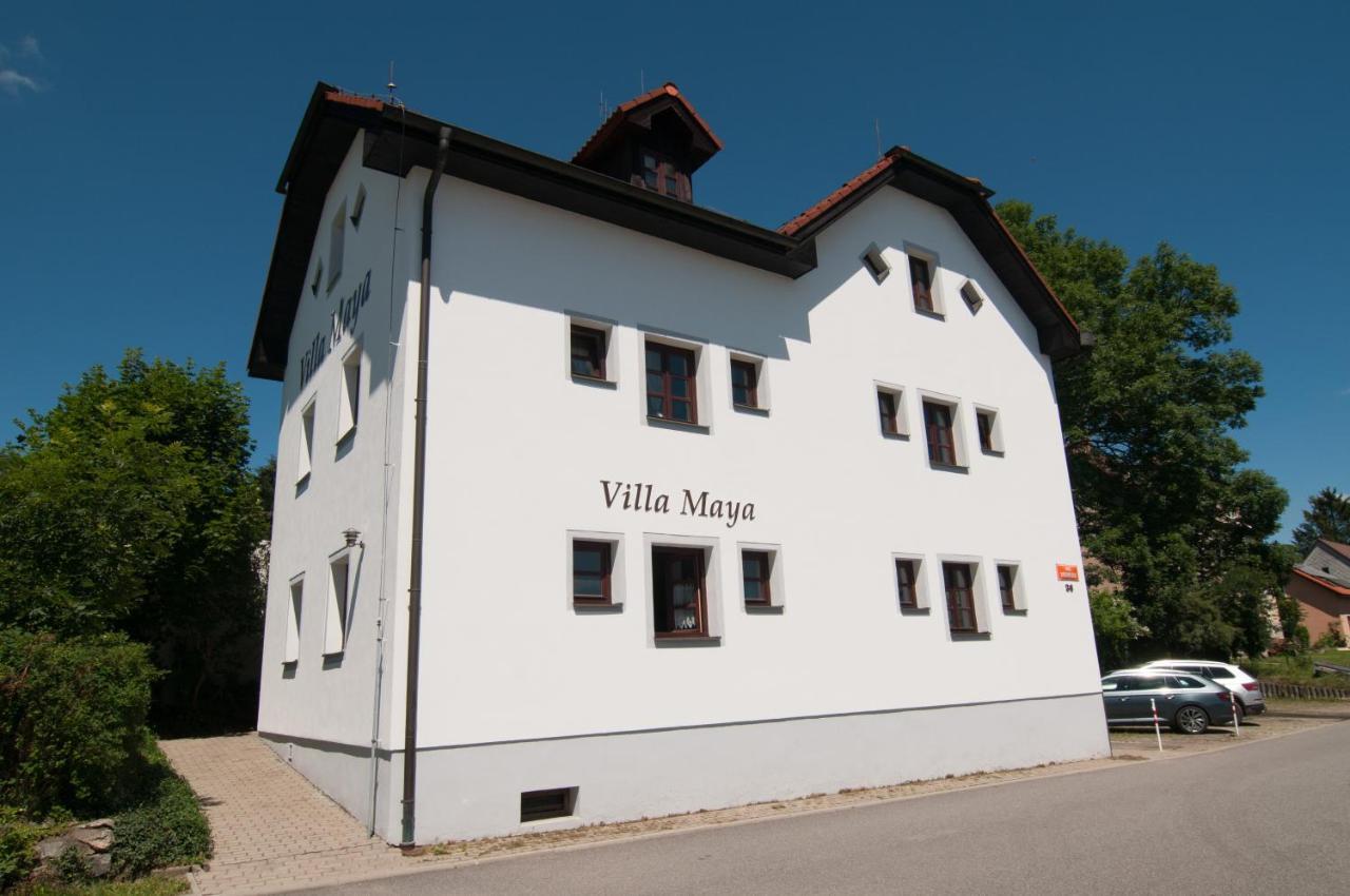 Villa Maya Horní Planá Kültér fotó